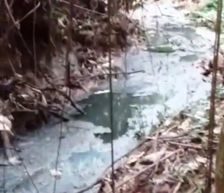 Fiscalização flagra obras com esgoto clandestino e corte de mata em Marília