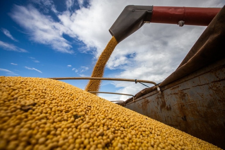 Recorde: 101,3 milhões de toneladas de soja foram exportadas em 2023