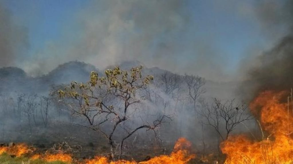 Empresários criticam crise hídrica e ambiental em carta a Lira