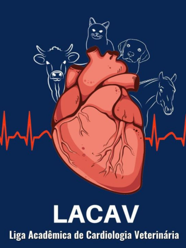 Nova Liga Acadêmica do curso de Medicina Veterinária irá abordar a cardiologia