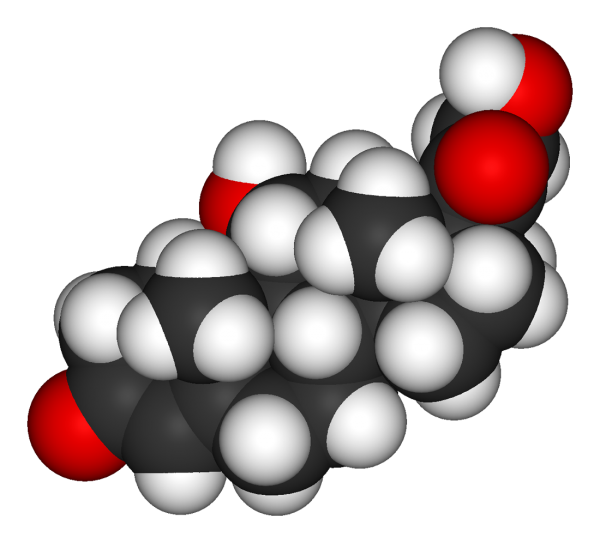 O hormônio do estresse, inflamações e sobrepeso