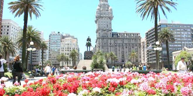 Saiba como aproveitar a primavera no hemisfério sul. Foto: Reprodução