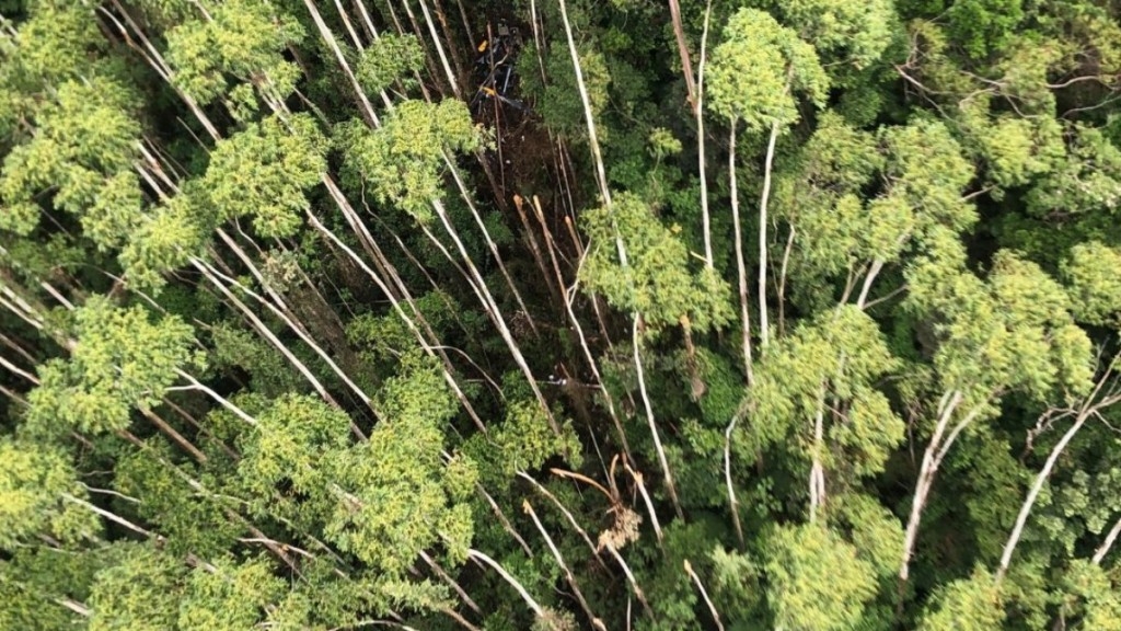 Divulgação/Polícia Militar SP Helicóptero desaparecido é localizado em área de mata em Paraibuna Divulgação/Polícia Militar SP Helicóptero desaparecido é localizado em área de mata em Paraibuna