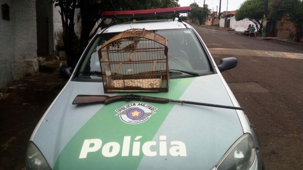 Policia ambiental apreende arma e dá multas por posse de pássaros