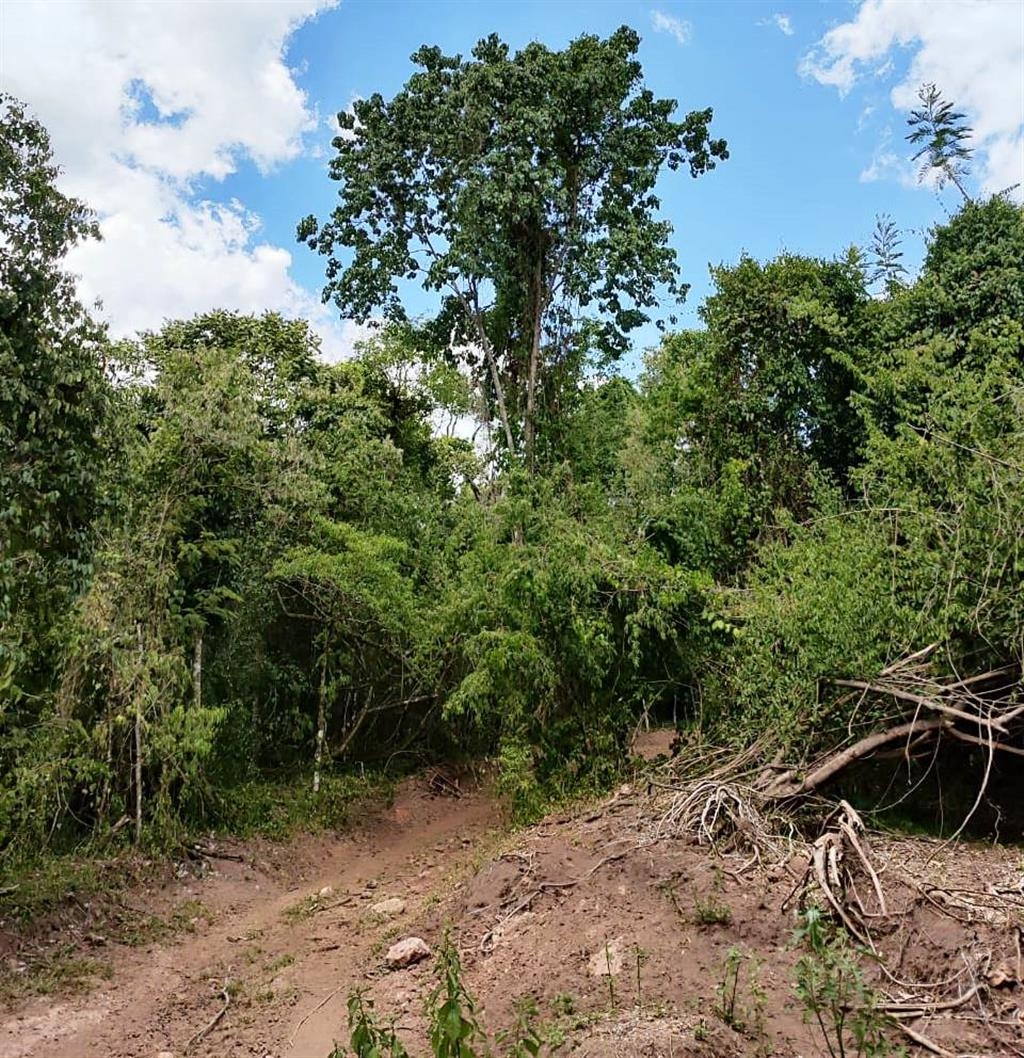 Fazenda em Lupércio leva multa de R$ 34,5 mil por destruir vegetação