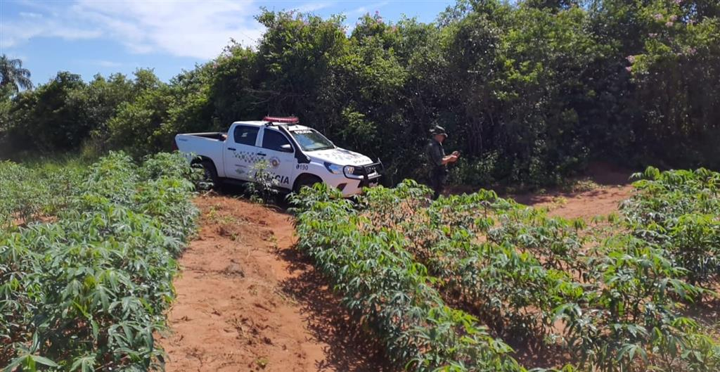 Fazenda de Paraguaçu leva multa de R$ 44 mil por destruir vegetação nativa