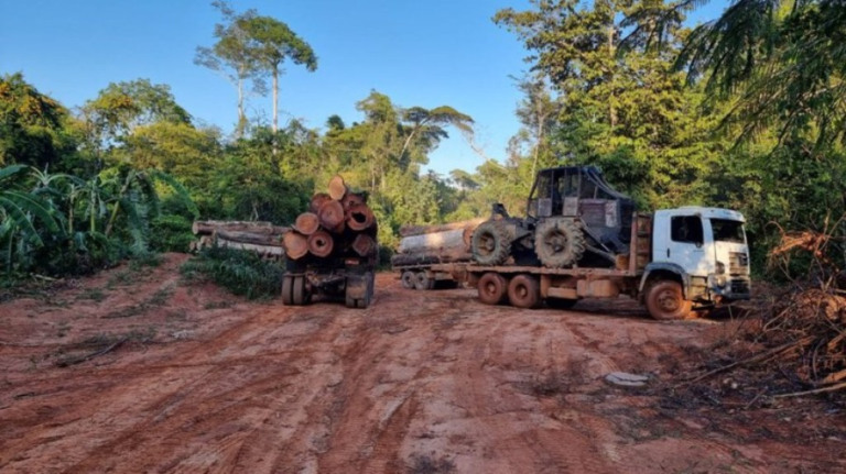 Governo anuncia fase coercitiva para expulsar garimpeiros ilegais