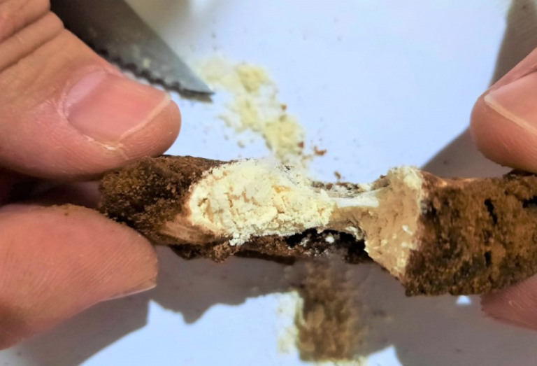Presídios na região flagram drogas com preso, visitante e até biscoitos enviados