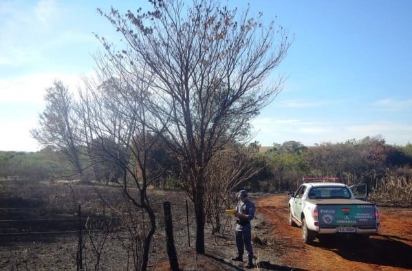 Polícia Ambiental flagra danos e aplica R$ 170 mil em multas na região