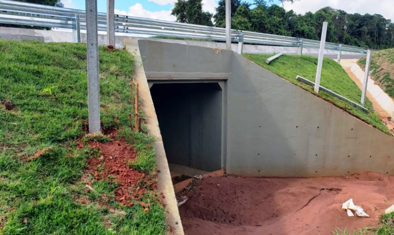 Rodovia Marília-Assis ganha passagens para animais silvestres