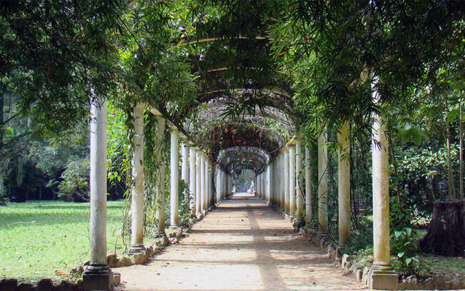 O primeiro Jardim Botânico do Brasil esbanja charme no Rio. Foto: Flickr/Chantal Wagner Kornin