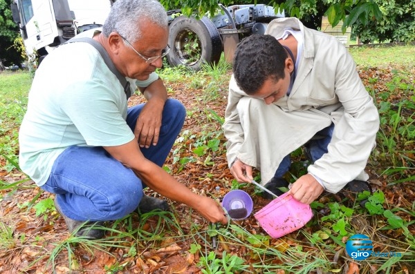 Saúde avalia índice de infestação do Aedes na cidade