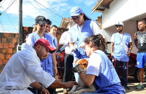 Equipes examinam cão em busca de casos de leishmaniose em Marília – Divulgação