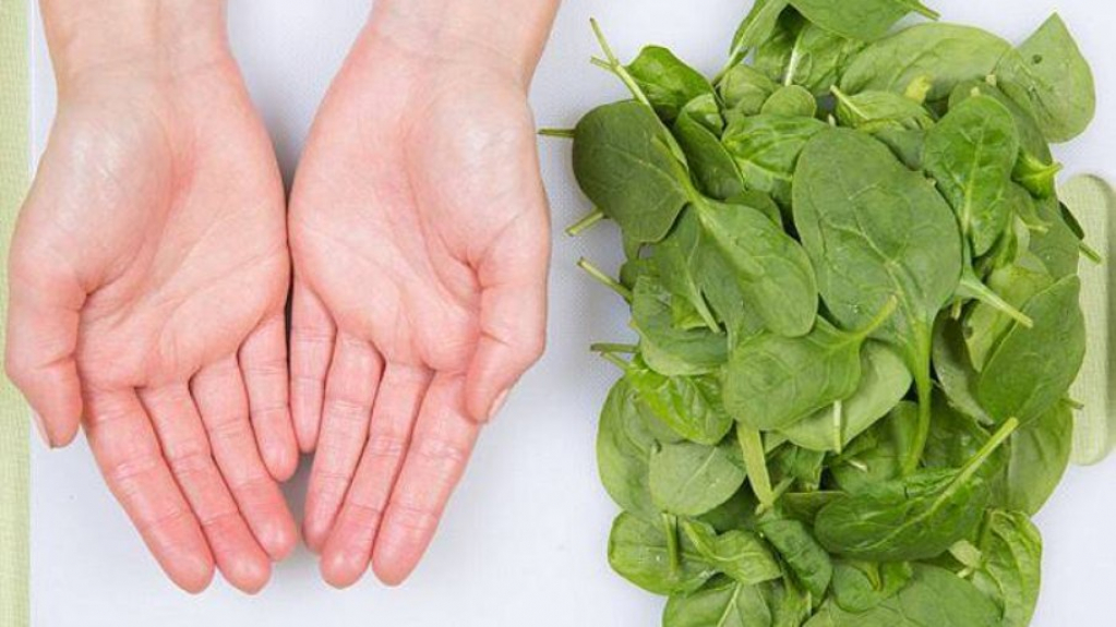 Pesquisa: refeição sem carne é 60% mais barata que com proteína animal Pesquisa: refeição sem carne é 60% mais barata que com proteína animal