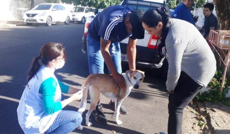 Zona sul terá ação especial no sábado para vacinar cães e gatos contra raiva