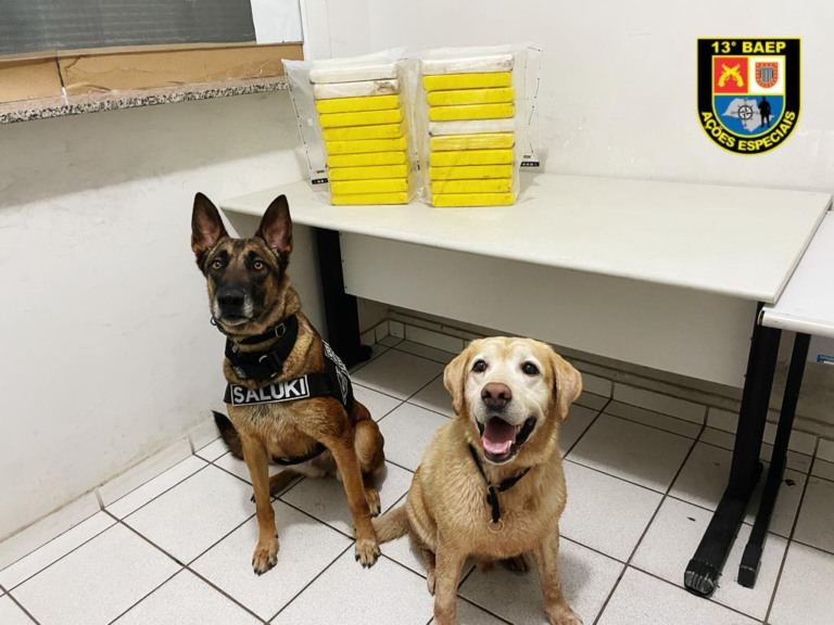 Cães ajudam e PM apreende tonel com 20 tijolos de maconha em Garça; um preso