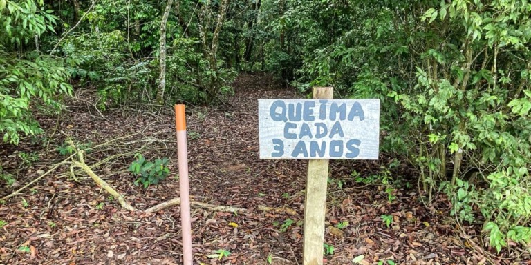 © Fabiola Sinimbu/Agência