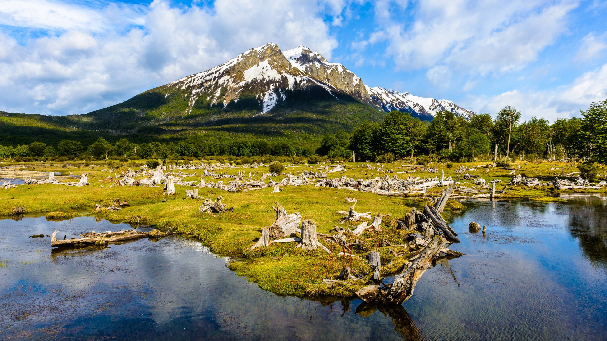 O cemitério de árvores do Parque Nacional da Terra do Fogo fica em outro trecho que só o Trem do Fim do Mundo pode acessar