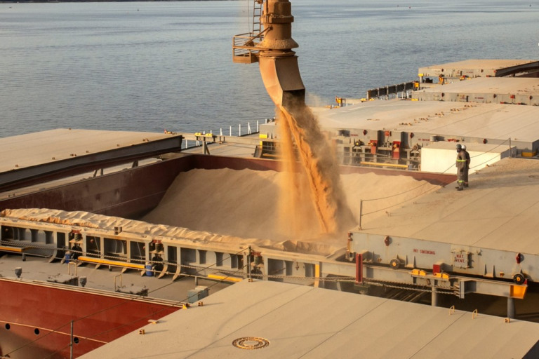 Brasil se torna o maior exportador de farelo de soja do mundo