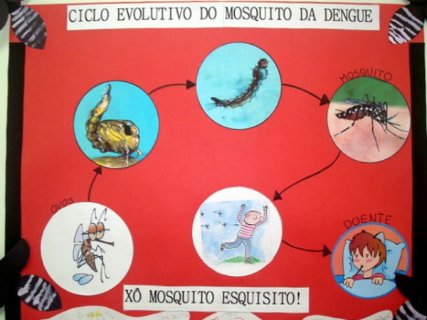 Exposição mostra trabalhos de estudantes sobre epidemia