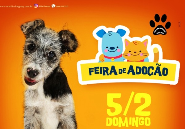 Shopping terá feira de adoção de animais em Marília