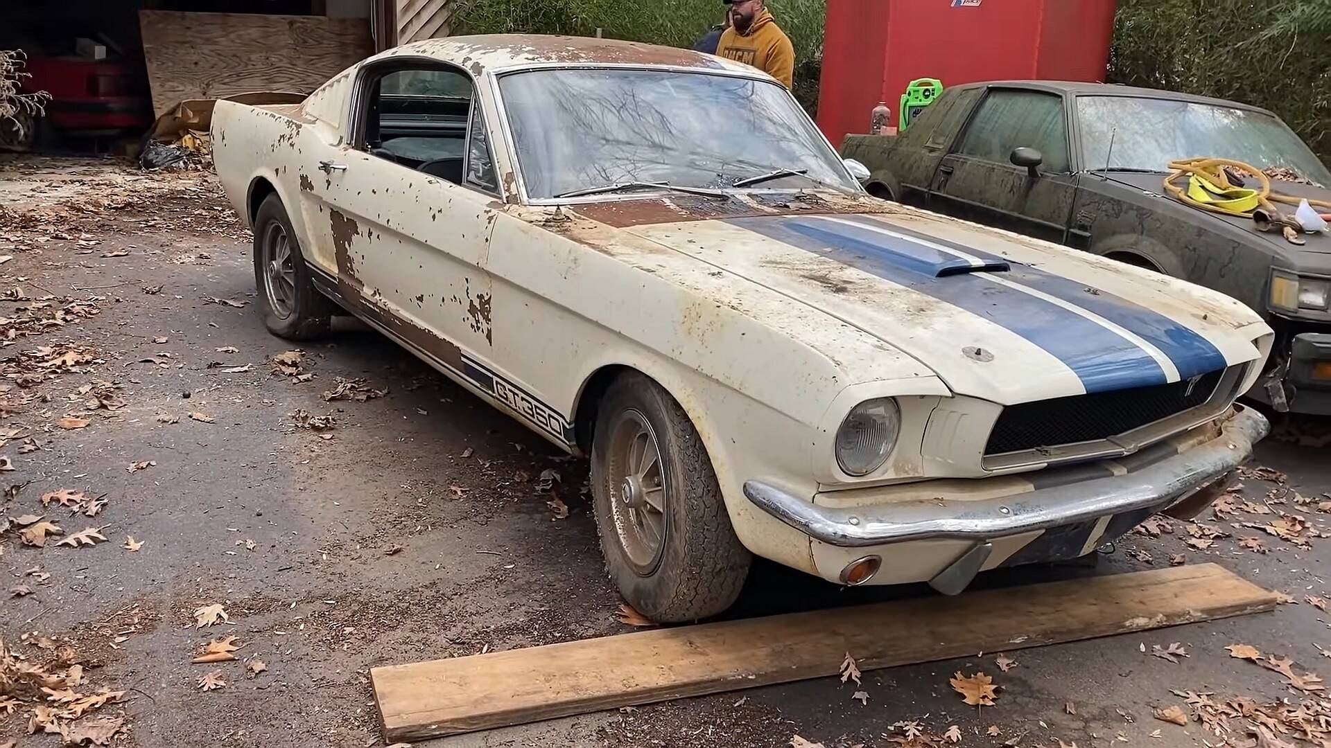 Mustang Shelby GT350 1965 . Foto: Reprodução