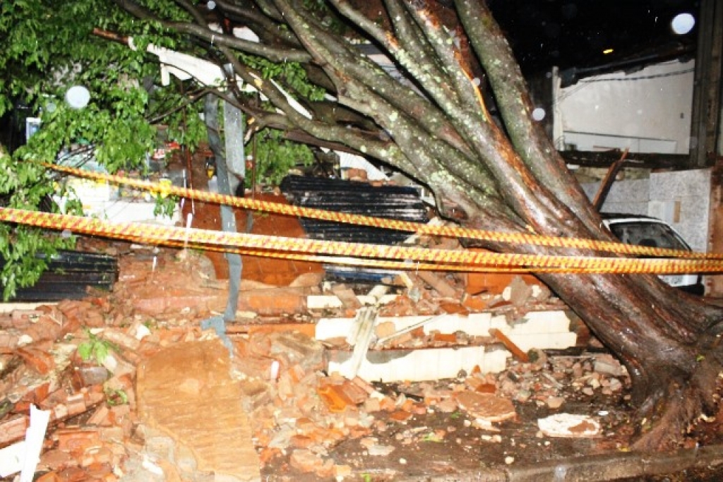 Queda de árvore fere cinco em Garça; chuva causa sustos também em Marília