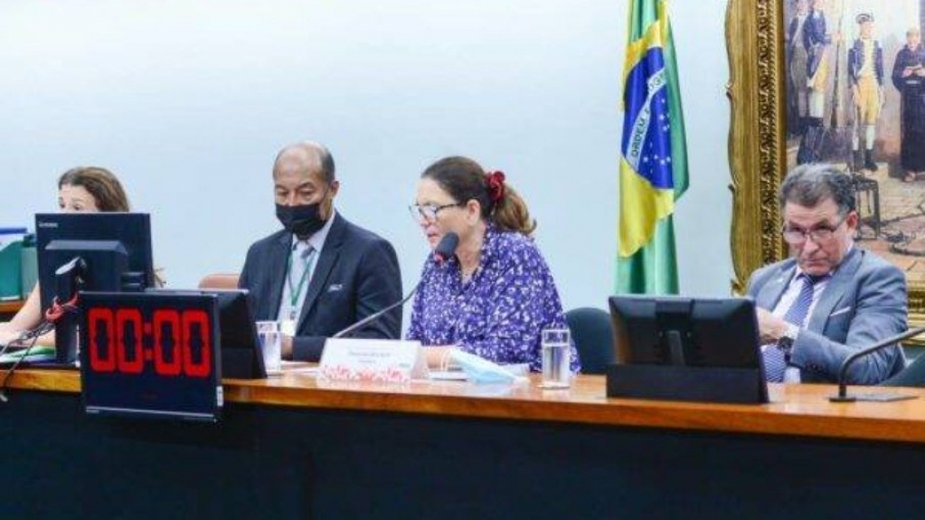 CCJ da Câmara aprova PEC com subsídio aos biocombustíveis CCJ da Câmara aprova PEC com subsídio aos biocombustíveis