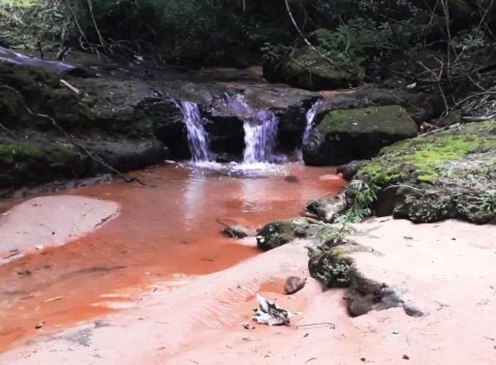 Assoreamento em área do córrego Água do Norte em Marília – Foto: ONG origem