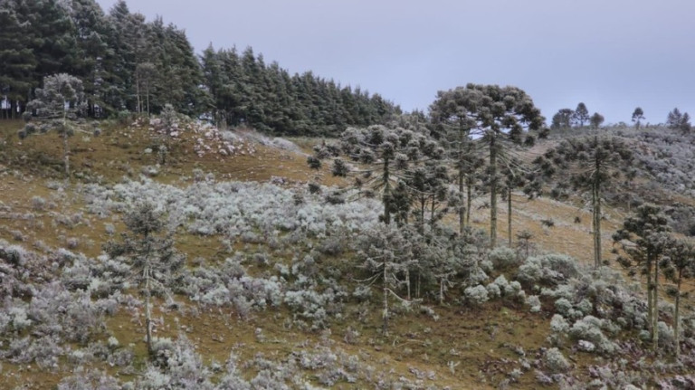 Primavera no Sul: SC registra neve e temperaturas negativas