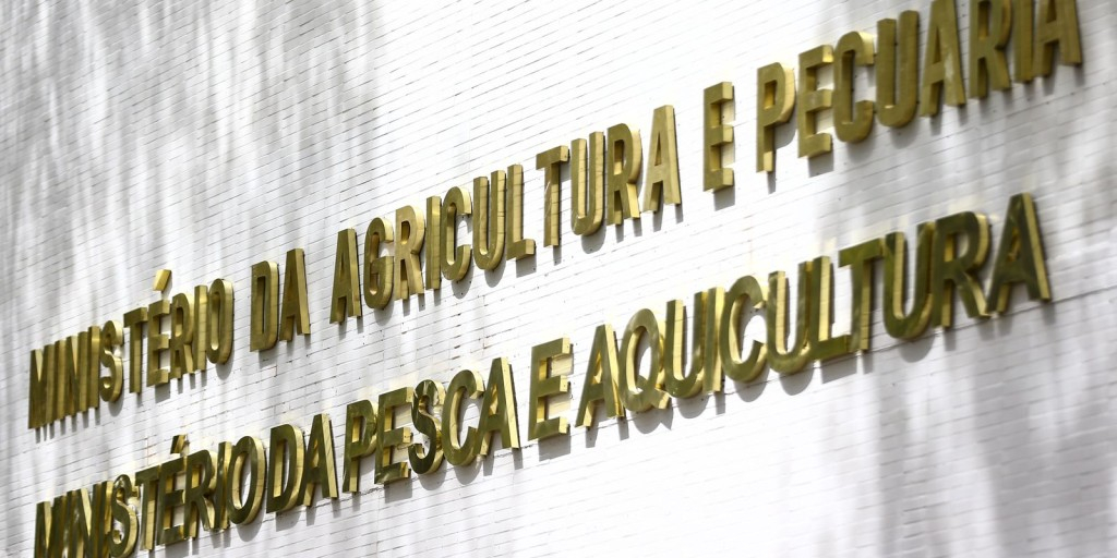 © Marcelo Camargo/Agência