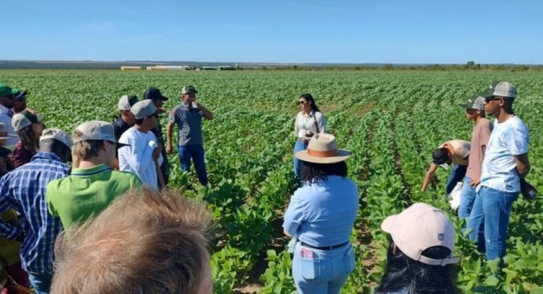 Produtores da Bahia recebem curso sobre manejo de pragas