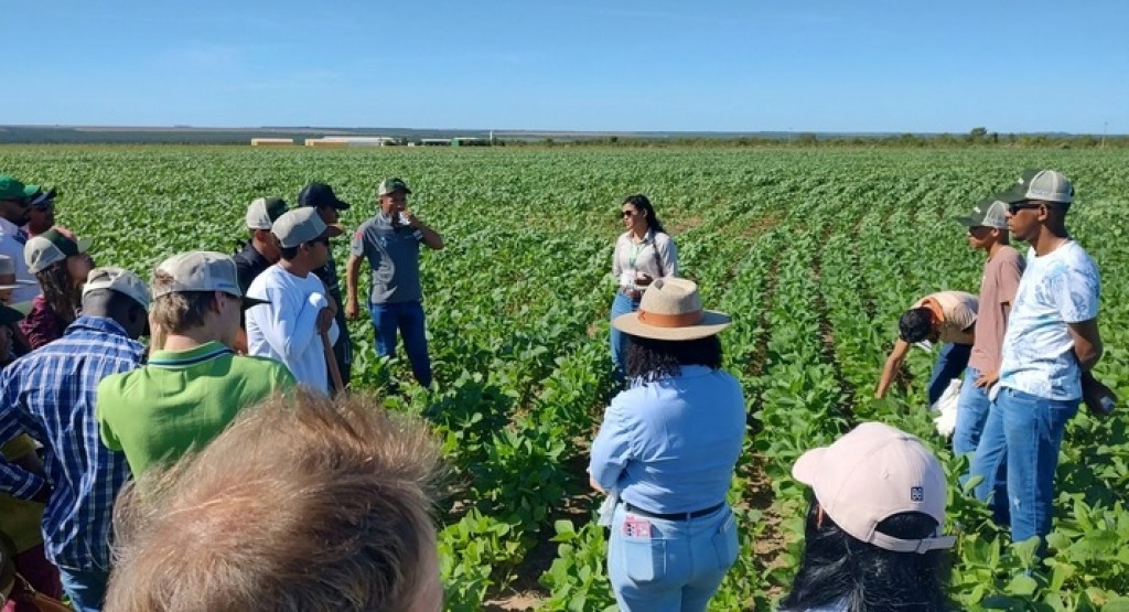 Produtores da Bahia recebem curso sobre manejo de pragas