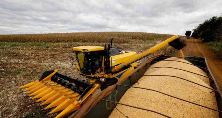 Paraná inicia plantio do milho safrinha enquanto colhe a 1ª safra