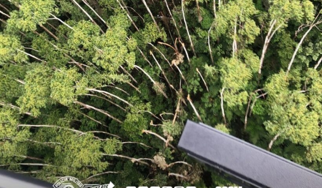Divulgação Modelo de helicóptero similar ao que desapareceu no Litoral Norte