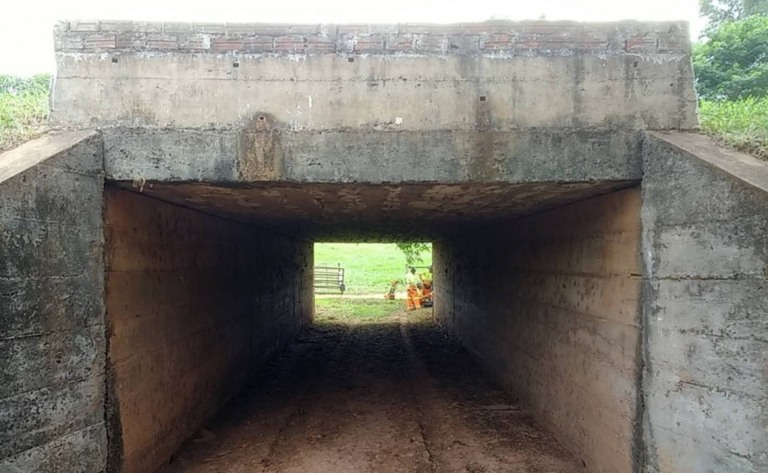 Rodovias de Marília e região terão obras em viadutos e pontes