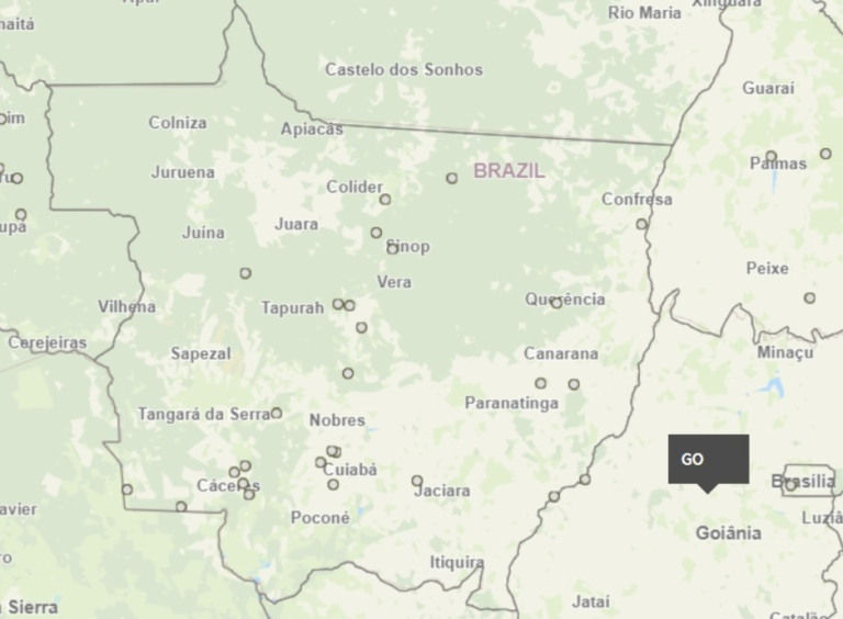 Preocupado com avanço da gripe aviaria Mapa cria painel atualizado diariamente