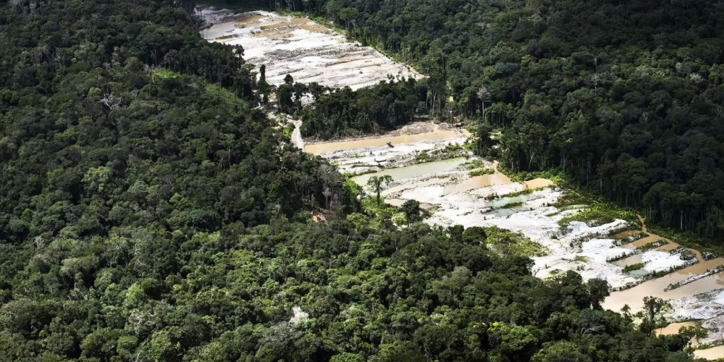 © Daniel Beltrá/ Greenpeace/