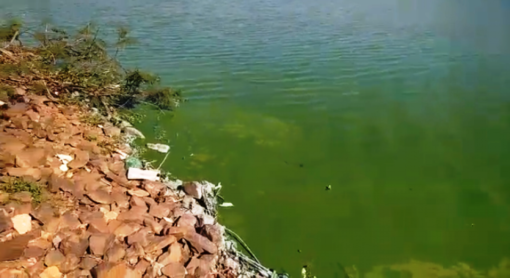 Represa Cascata tem 'água verde' e Daem combate bactérias