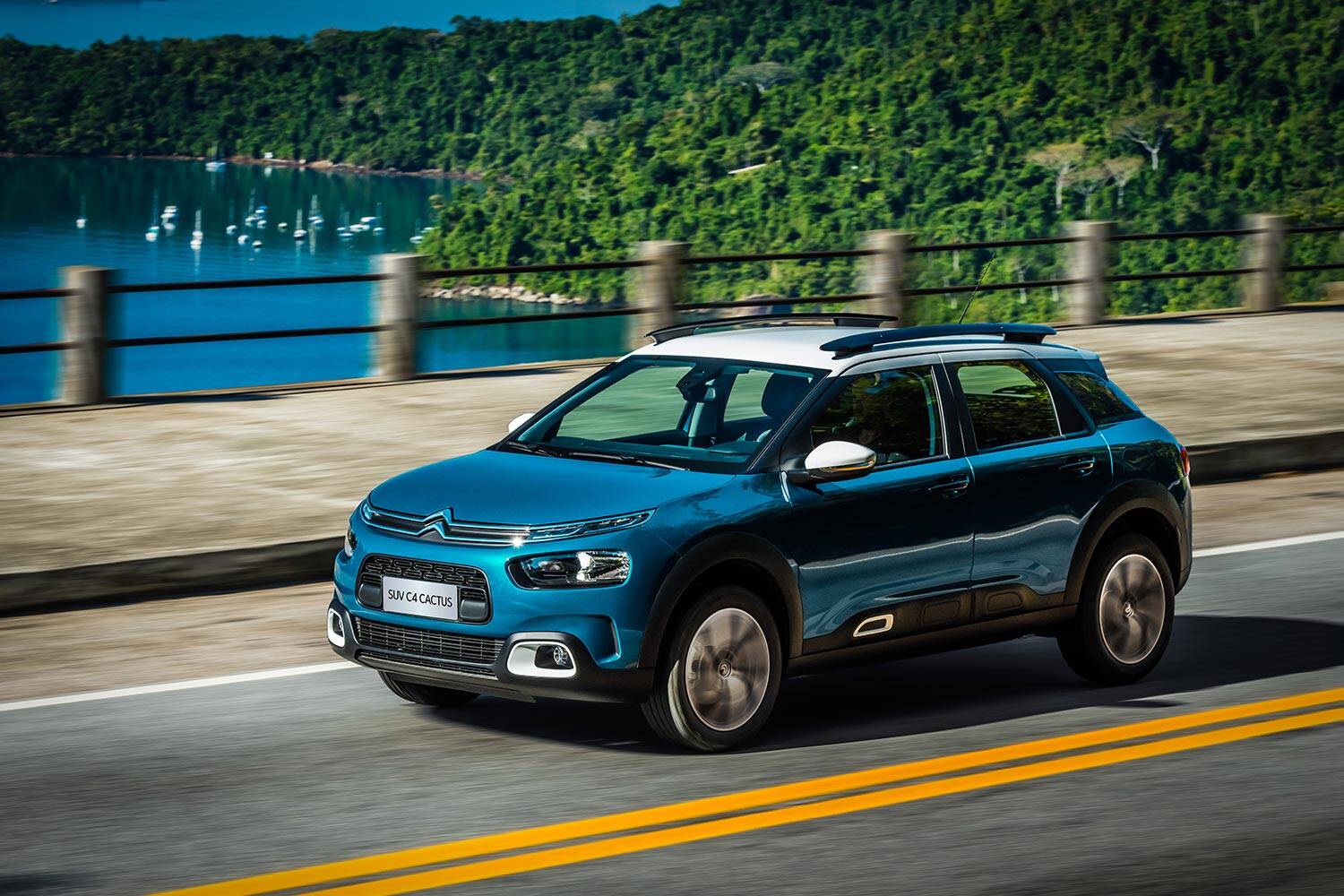 Citroen C4 Cactus. Foto: Divulgação