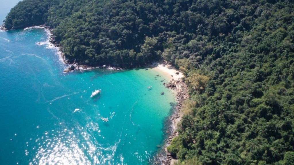 Felipe Abílio Ilha das Couves, Ubatuba (SP)