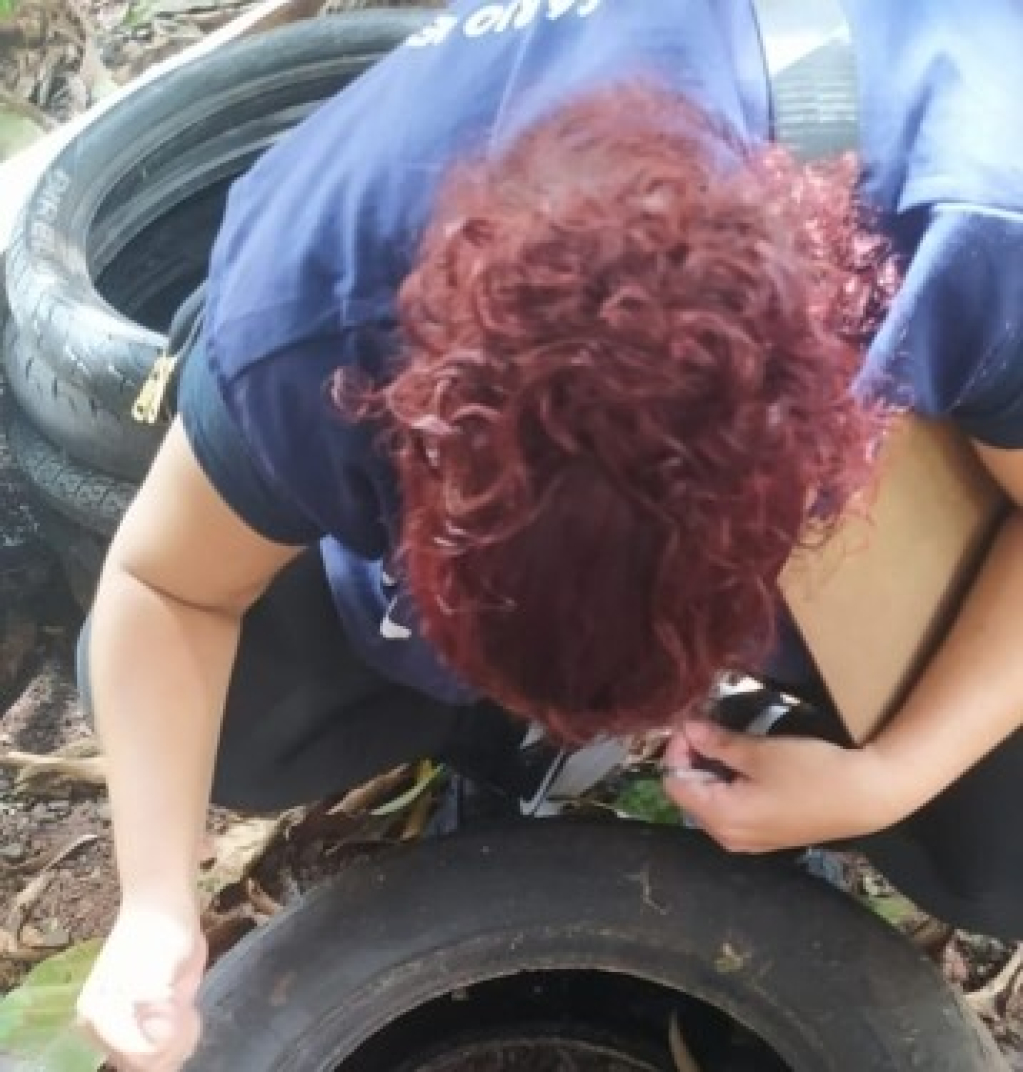 Caso importado de Chikungunya provoca força-tarefa contra Aedes em Marília