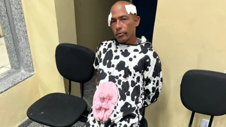 Divulgação – 29.04.2023 Homem vestido com fantasia de vaca foi preso no Rio