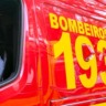 Bombeiros abatem pitbull durante ataque à equipe e cães em Garça