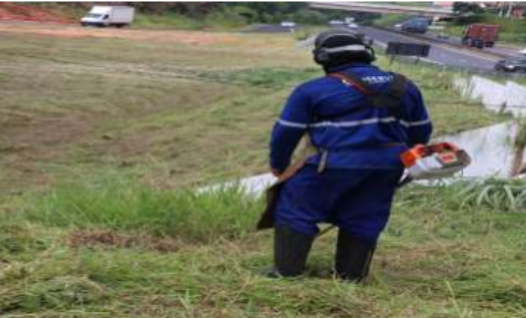 Limpeza de urgência em Marília abre 40 vagas; vai custar R$ 4,6 milhões
