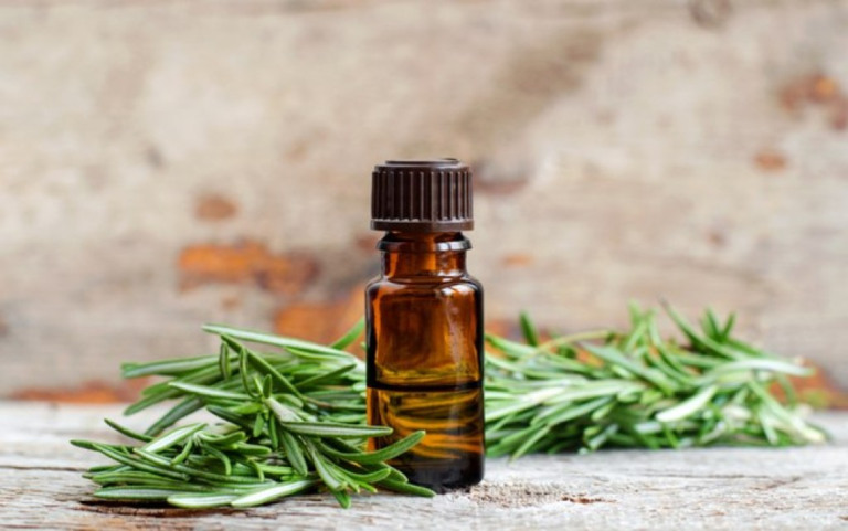Aromaterapia: conheça a função de 5 óleos essenciais