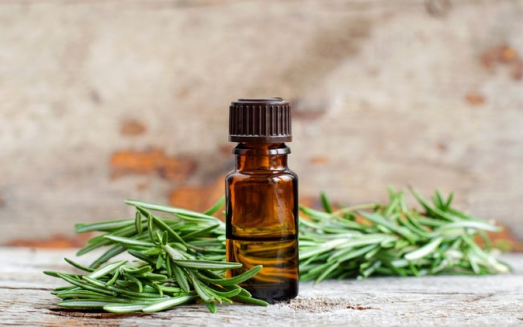 Aromaterapia: conheça a função de 5 óleos essenciais Aromaterapia: conheça a função de 5 óleos essenciais