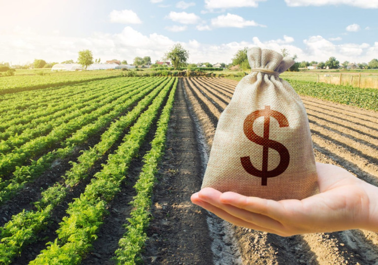 Plano Safra 2023/24 já liberou R$ 147 bilhões para custeio do agronegócio