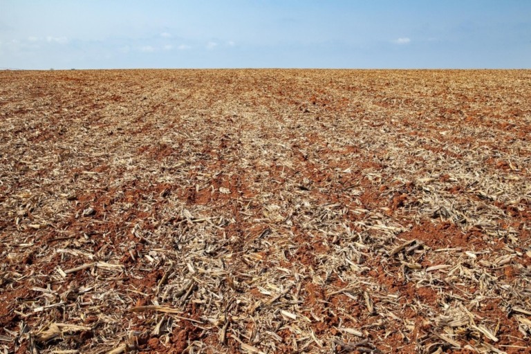 Plantio da soja atinge 94% da área estimada no Brasil, mas clima continua prejudicando