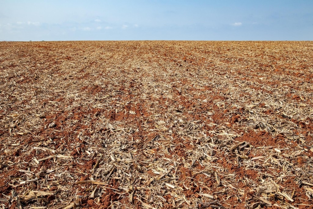 Plantio da soja atinge 94% da área estimada no Brasil, mas clima continua prejudicando